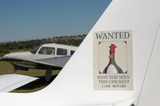 Wanted Have You Seen This Chicken On Aircraft Tail IMG 3961