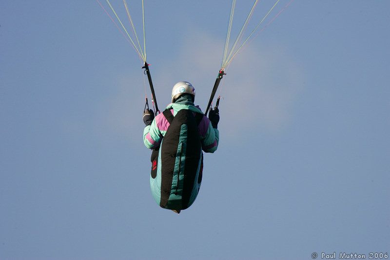 paraglider models typesy