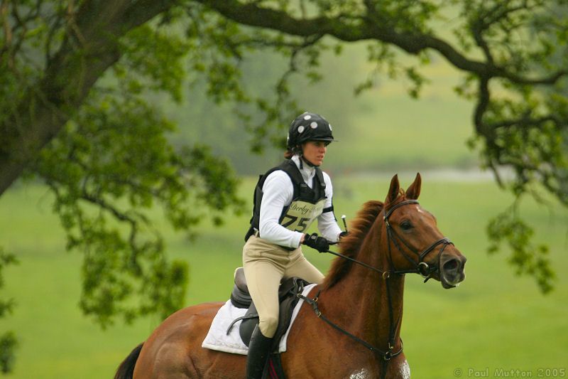 competing horse and rider 1