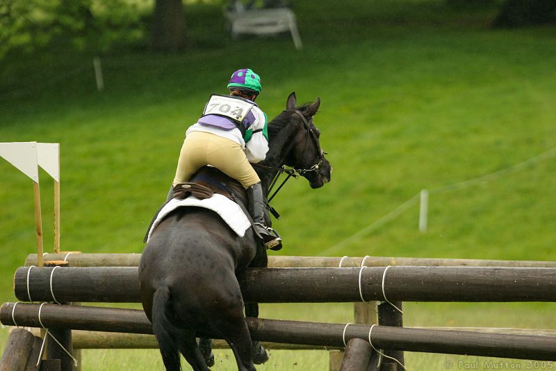 horse hitting a jump 2