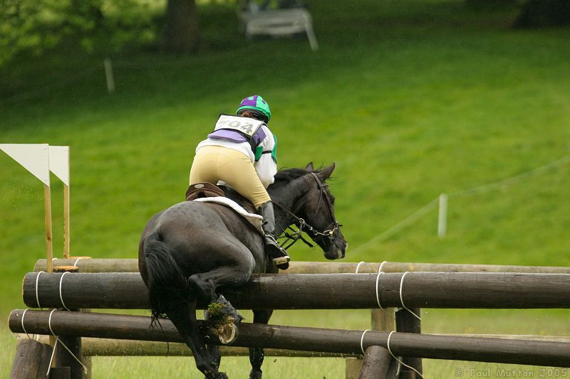 horse hitting a jump 3