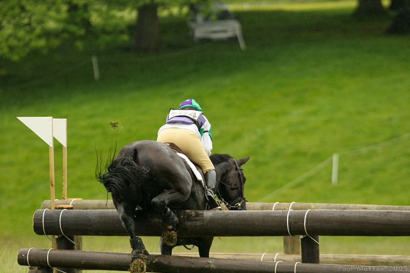 horse hitting a jump 4