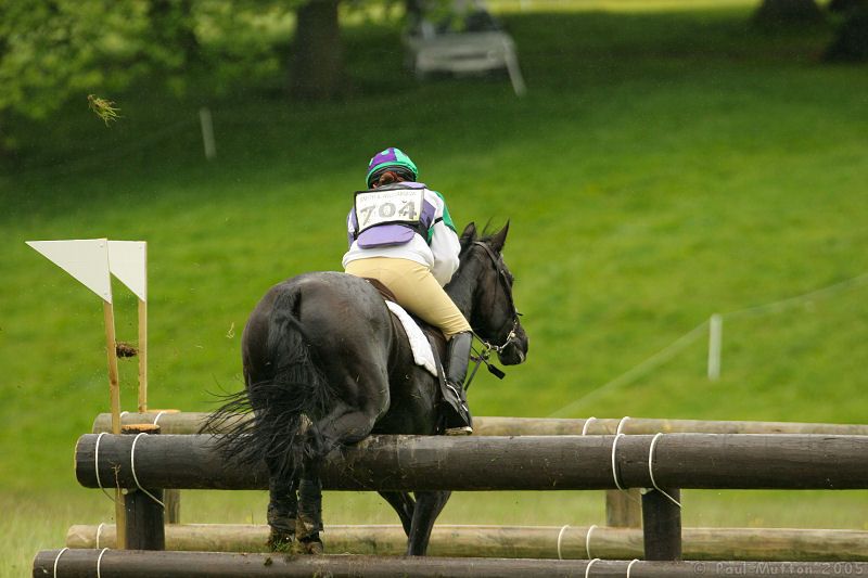 horse hitting a jump 6