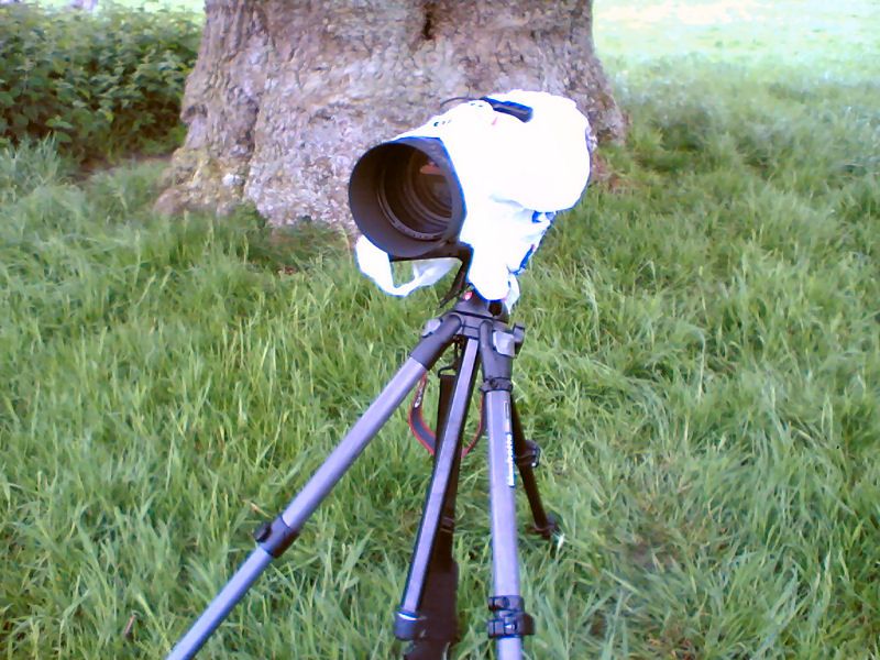 taking photos in the rain