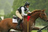 competing horse and rider 3