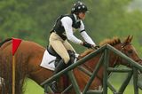 competing horse and rider 4