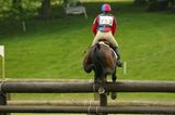 horse jumping poles successfully 10
