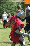 Medieval Battle img 3037 800