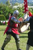 Medieval Battle img 3062 800