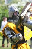 Medieval Battle img 3087 800