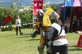 Medieval Battle img 3091 800
