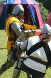 Medieval Battle img 3096 800