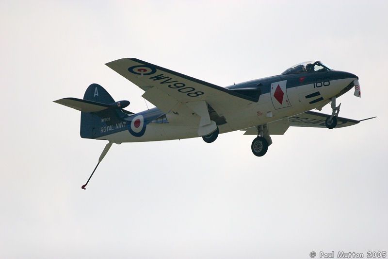 Hawker Sea Hawk With Arrestor Hook Down IMG 9458