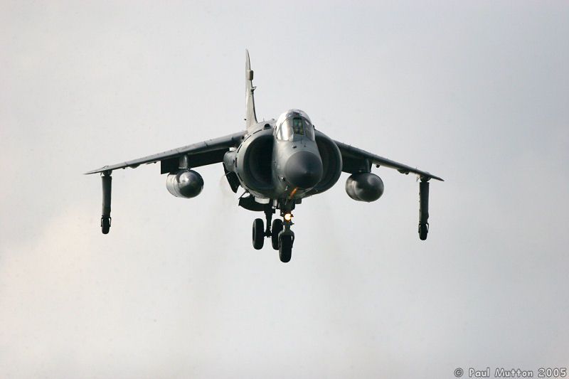 Royal Navy Sea Harrier at RNAS Yeovilton IMG 9228