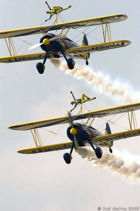 Utterly Butterly Wing Walkers Stacked IMG 9171