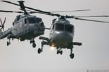 Two Royal Navy Lynx Helicopters IMG 9370