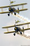 Utterly Butterly Wing Walkers Stacked IMG 9171