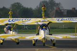 Utterly Butterly Wing Walkers IMG 9139