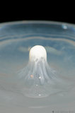 Milk Droplet Splash In Water A8V9027