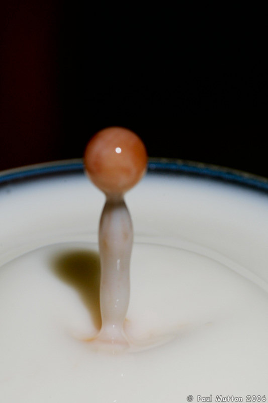 Strawberry Juice Droplet In Milk A8V9079