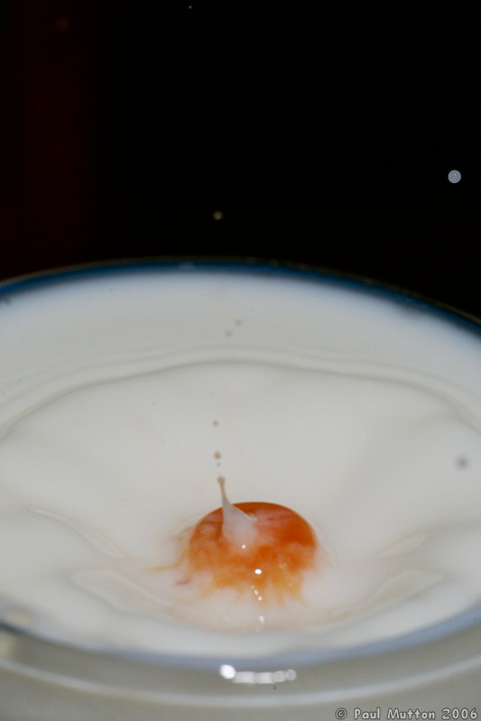 Strawberry Juice Droplet In Milk A8V9081