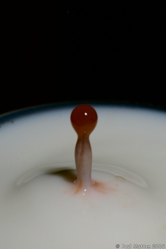 Strawberry Juice Droplet In Milk A8V9083