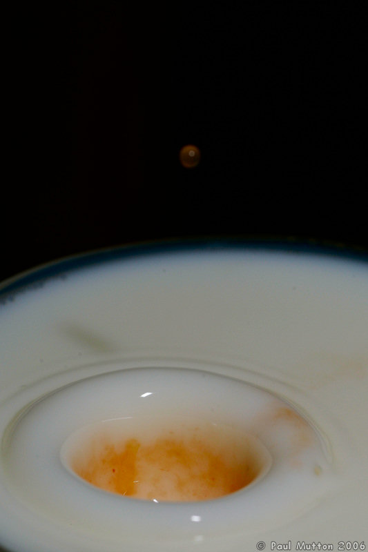 Strawberry Juice Droplet In Milk A8V9085