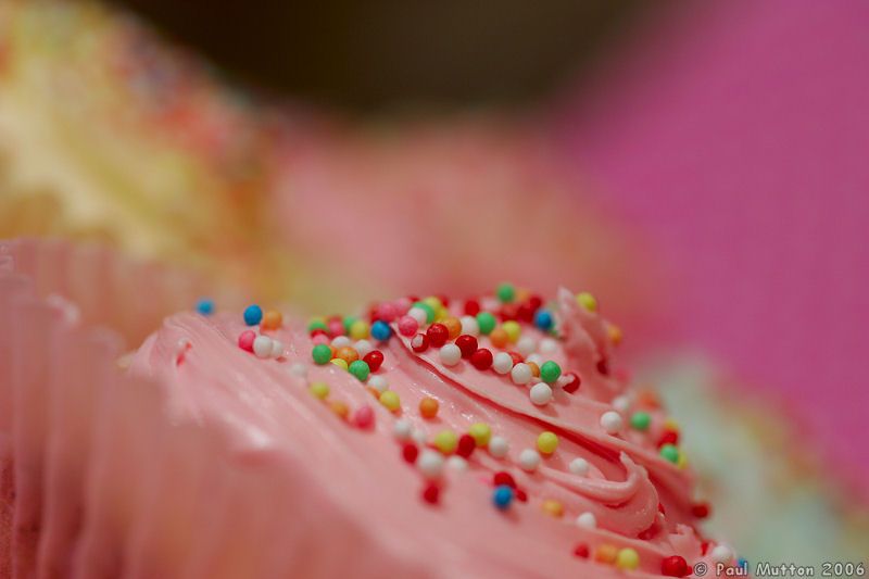 Pink Cupcake HA8V7538