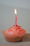 Pink Cupcake With Candle HA8V7518