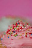 Pink Cupcake With Sprinkles HA8V7533