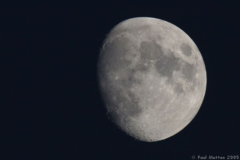 Evening Moon With Canon 500mm IMG 0876