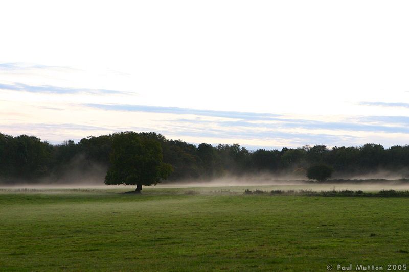 Rolling Mist IMG 0366