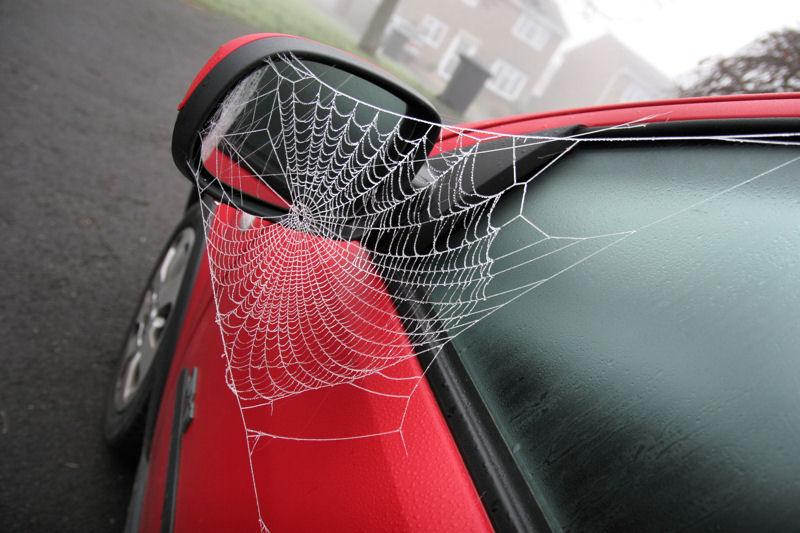 Frosty Spider Web On Car Wing Mirror IMG 2790