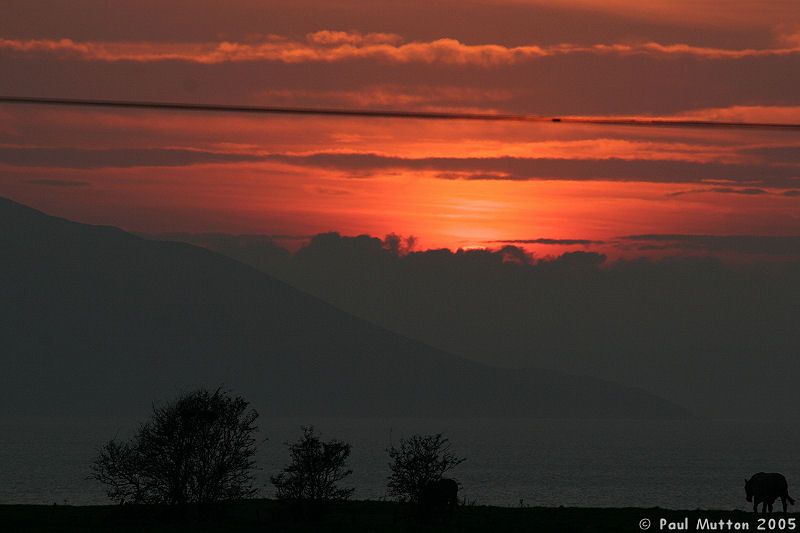 Sunset On Isle Of Bute IMG 0532