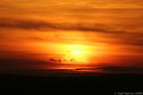 Trowbridge Sunset IMG 5192