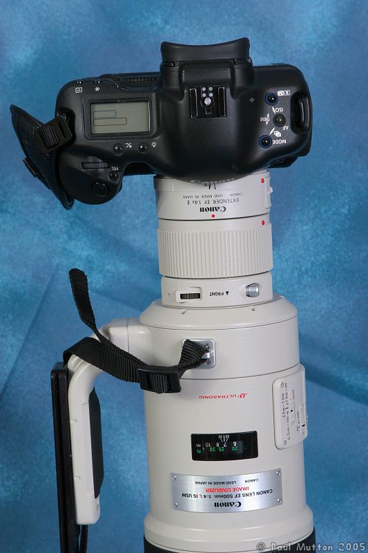 Canon EF 500mm f4L IS USM Lens on 1D IMG 0671