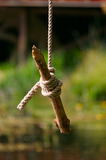 Log Branch Swing Hanging From Rope IMG 2626