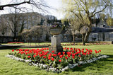 Flowers In Bradford on Avon A8V9385