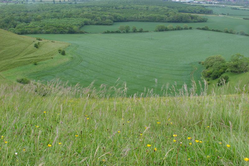 View from Cley Hill 7