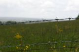 Barbed wire and rain in a field