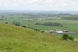 Cows and farm viewed from Cley Hill