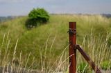 Rusty Fence Post IMG 6289