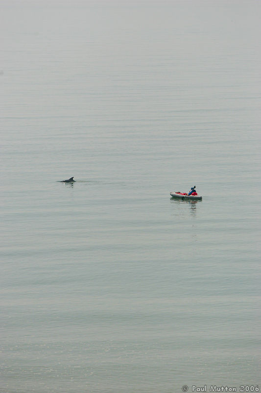 Folkestone Dolphin With Small Boat A8V0281