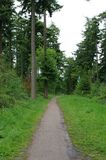 Footpath through Longleat forest