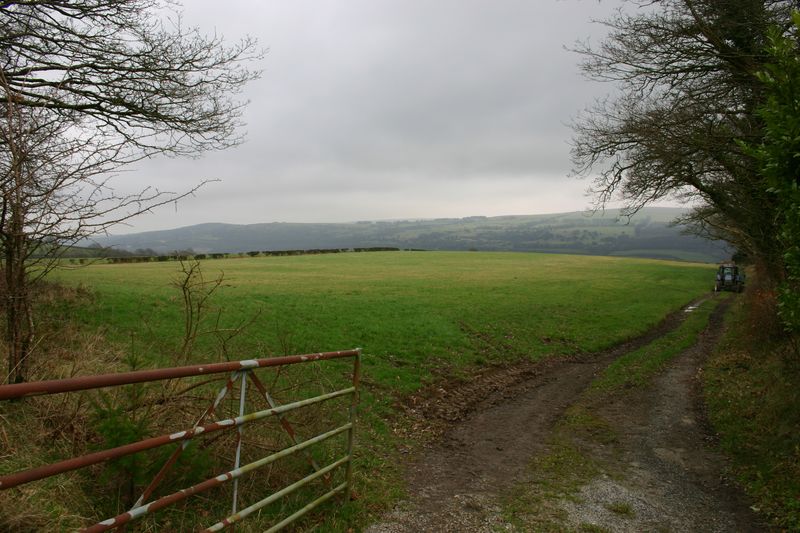 Looking towards Dartmoor