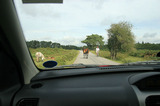 New Forest Ponies On The Road IMG 3799