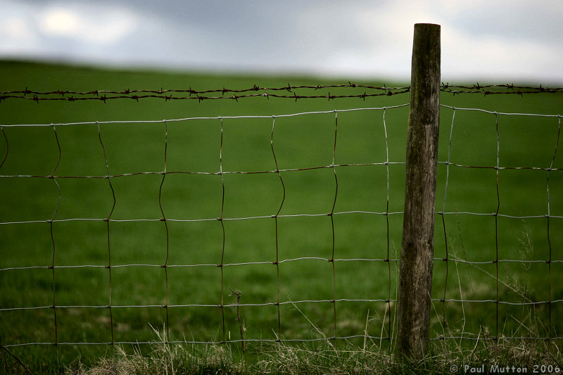 Fence With Barbed Wire In Field A8V9580