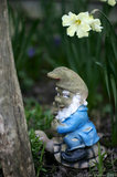 Cheeky Gnome A8V9570