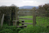 Style Gate Into Field A8V9597