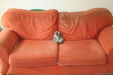 Silver Tabby Kitten On Sofa Settee Couch IMG 4236